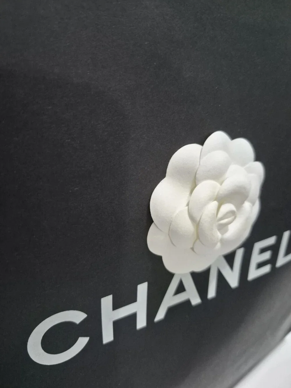 Chanel Lot of Empty Shoe Boxes + Dust Bags + Pouch + Shopping Paper Bag ...